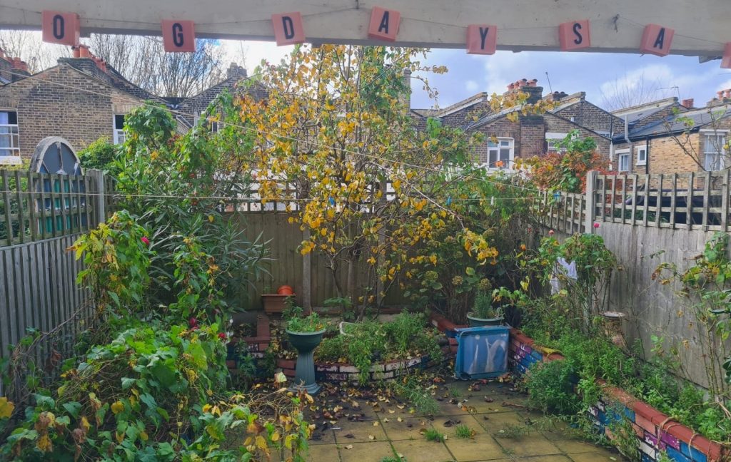 maxwell11_2217_IMG_10