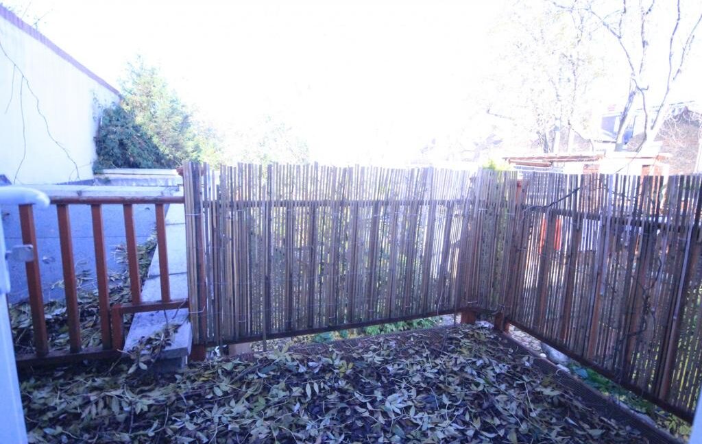 maxwell11_1720_IMG_03