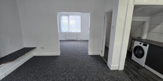 Botha Road,  London, E13